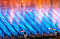 Gunnersbury gas fired boilers